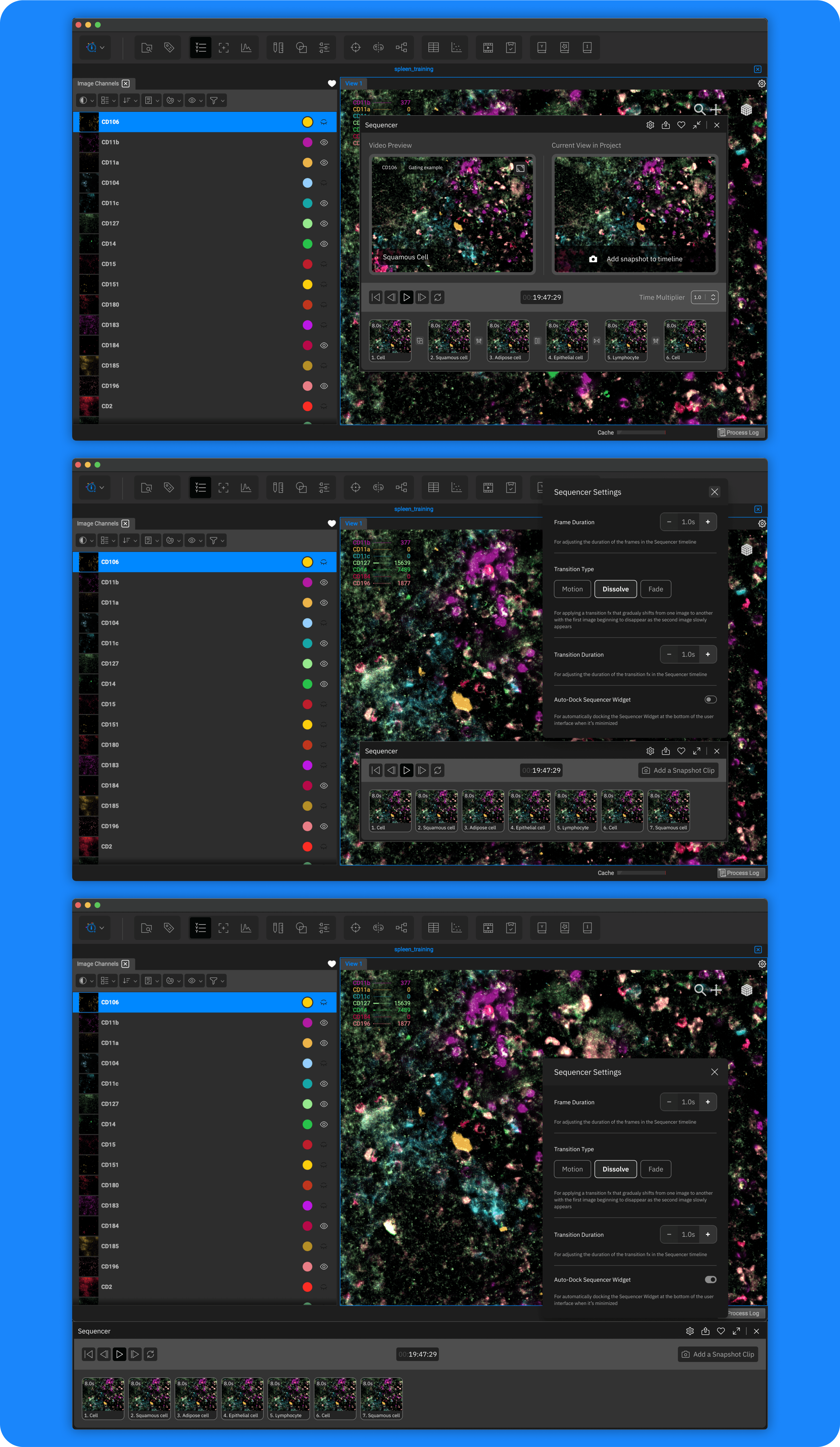 Sequencer widget
